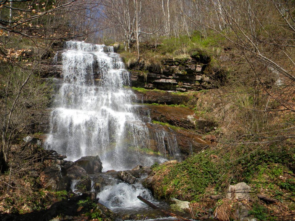Tupavica (Stara planina)